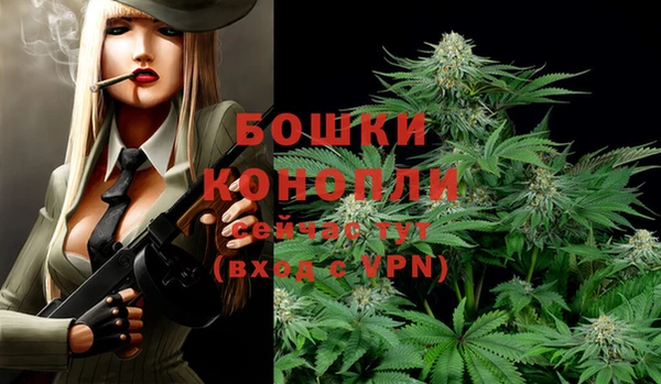 МДПВ Аркадак