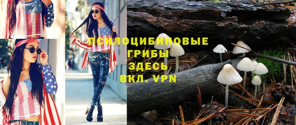 МДПВ Аркадак
